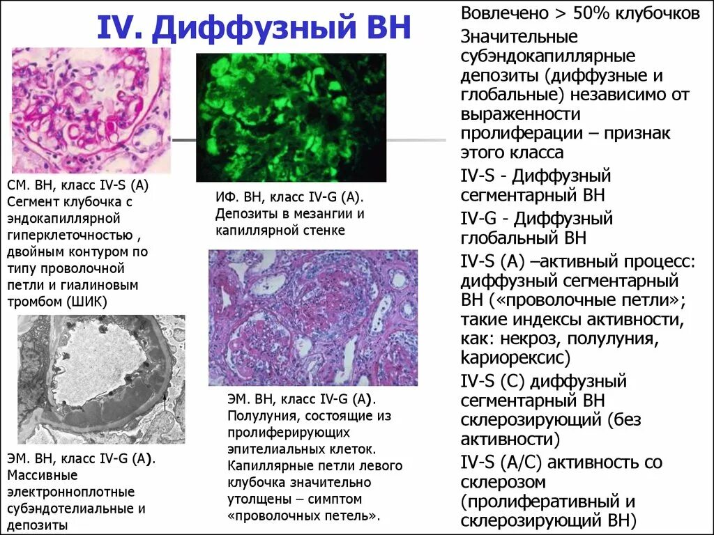 Диффузный пролиферативный. Исследование диффузионной способности легких. Диффузная способность легких исследование. Диффузный процесс это. Диффузная функция