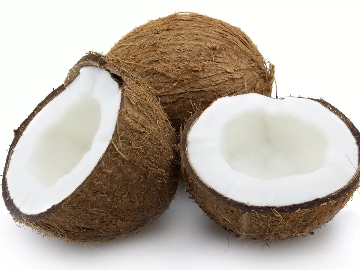 The coconut