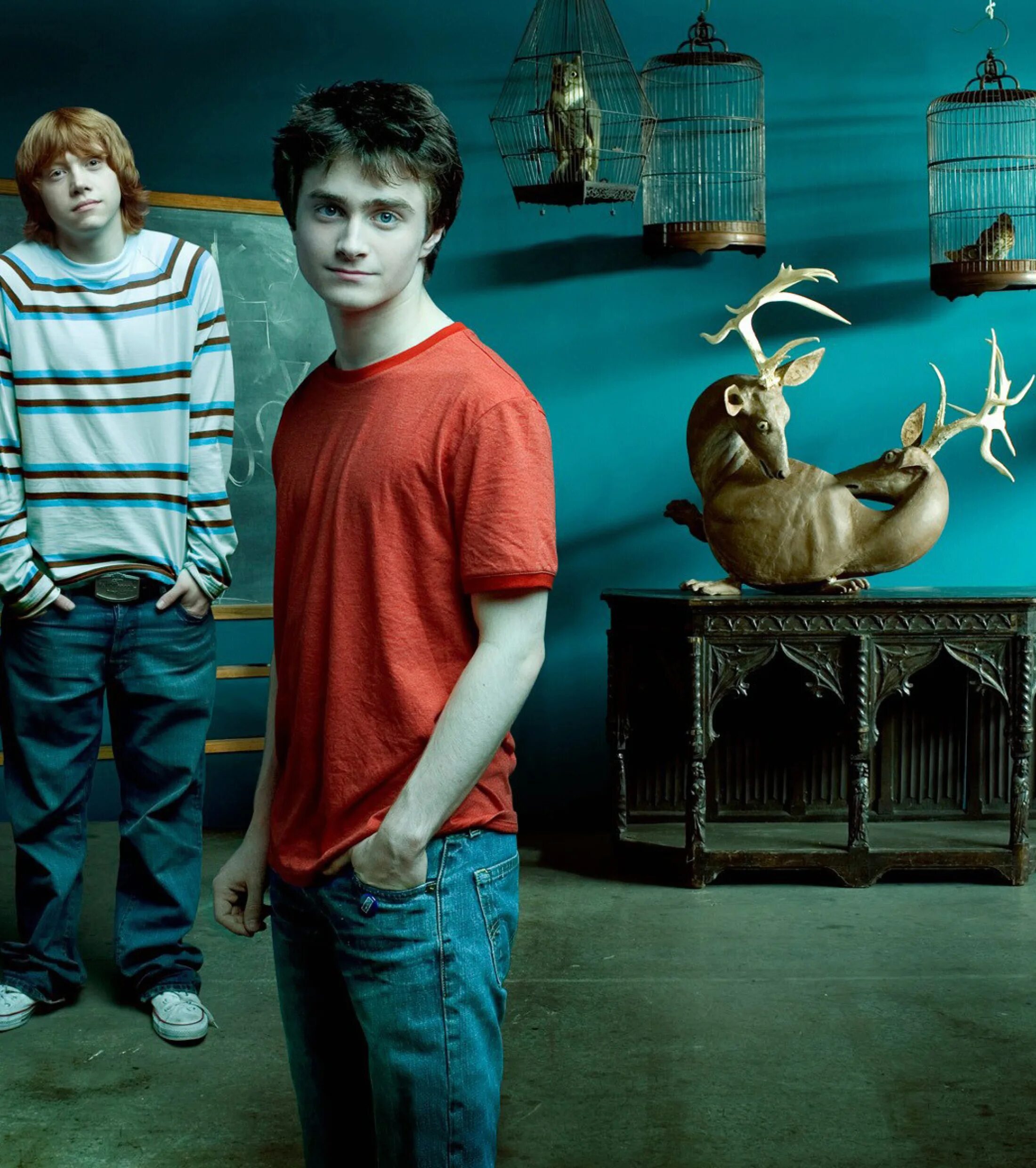 Harry porter