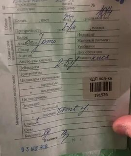 Сколько готовятся результаты мочи