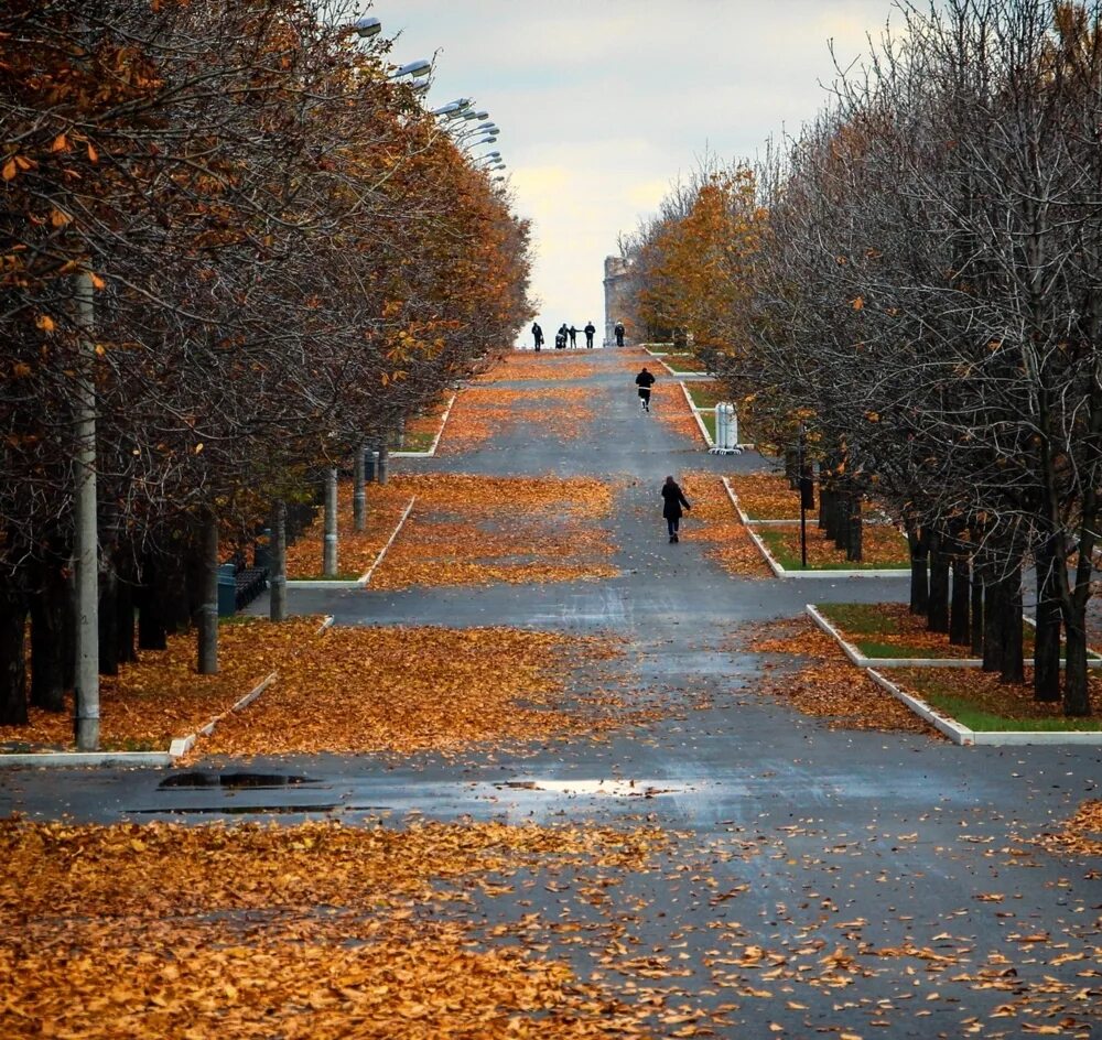 Велосипедист осень. Осень в городе череповец. Парк архангельское осенью. Автомобиль осенью на дороге. Пушкинская осенью ростов на дону.