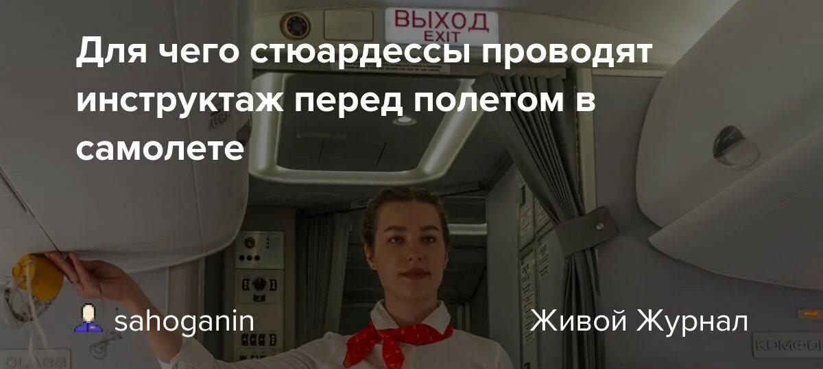 Инструктаж перед полетом. Речь бортпроводников перед полетом. Слова которые говорят в самолете перед взлетом. Инструктаж стюардессы перед полетом. Пить перед полетом