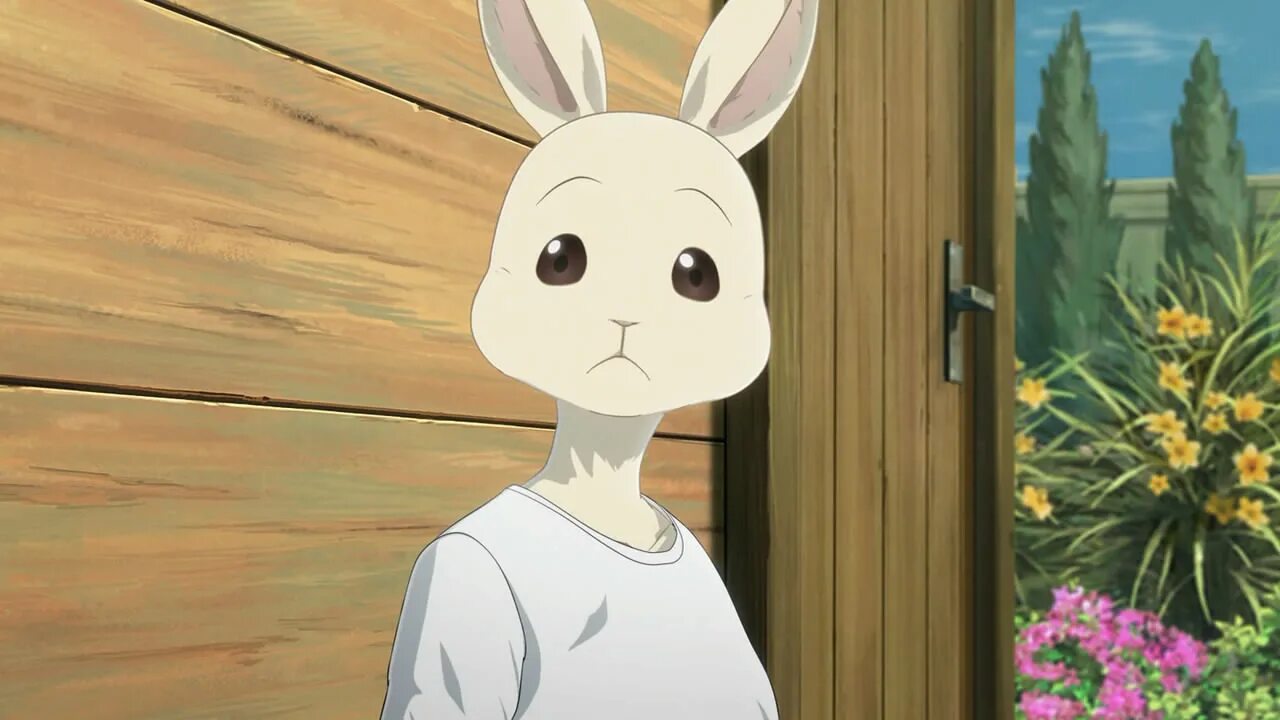 Тг канал животные. Otaku Rabbit. Otaku Rabbit Usachan.