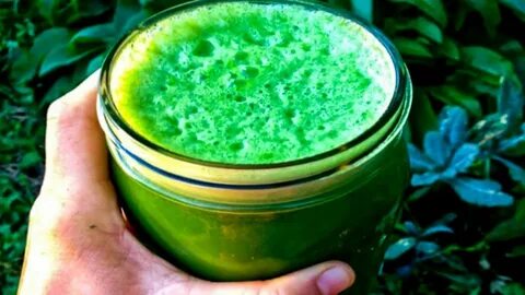Лист лопуха для лечения коленного
