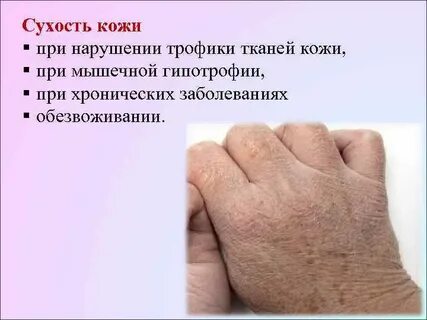 Трофика тканей