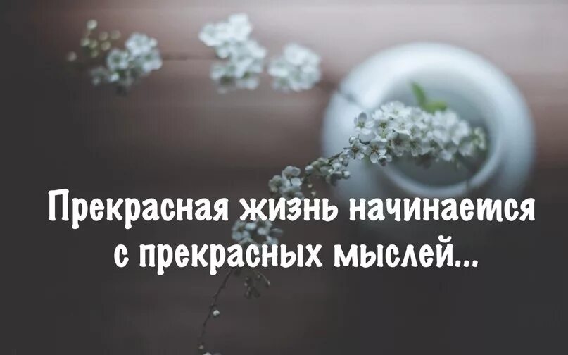 Зак эфрон чарли. Мир начинается с тебя цитаты. Эта жизнь начинается с детской роли 32. Прекрасная жизнь начинается. Живи жизнь прекрасна.
