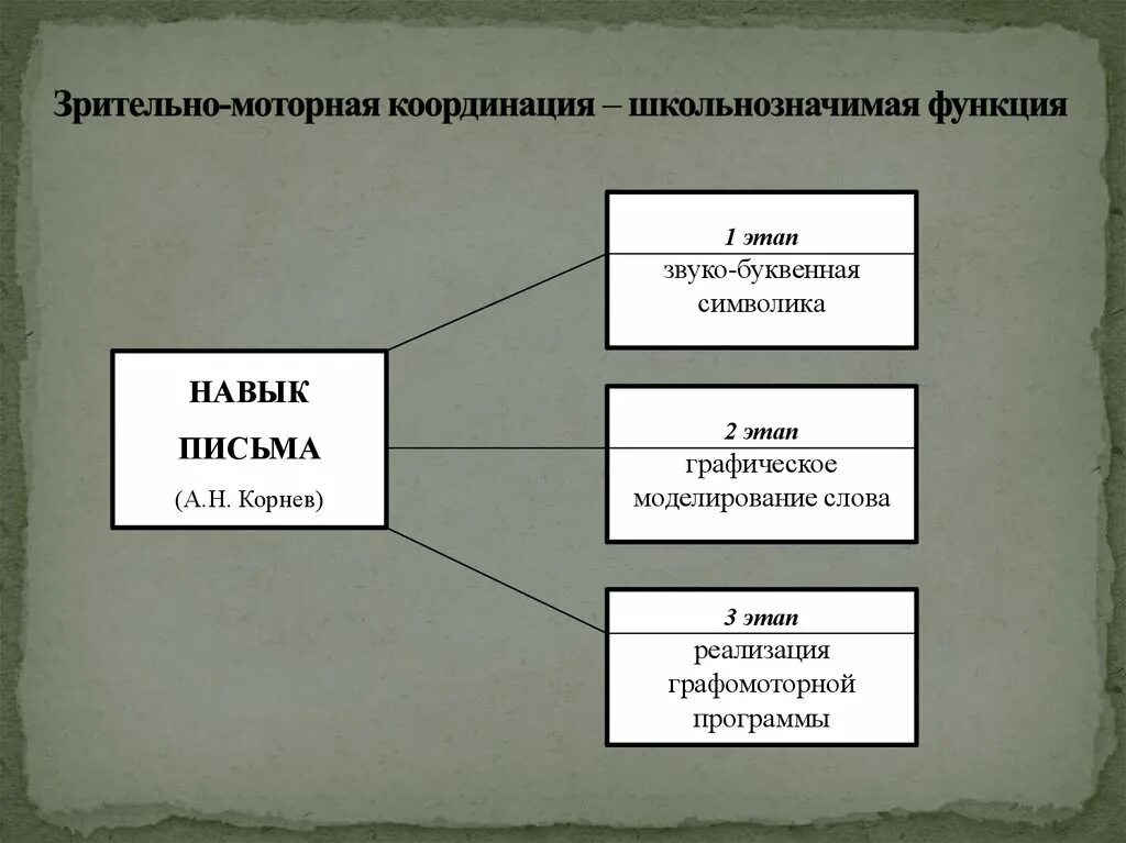 Развитие зрительной функции у детей