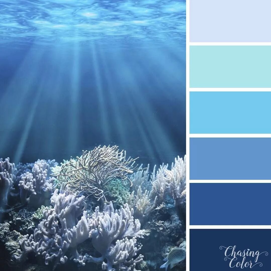 Необычные сочетания цветов в одежде. Сочетание цветов в одежде синий. Сочетание на тему. Сочетание на тему. Сочетание на тему.