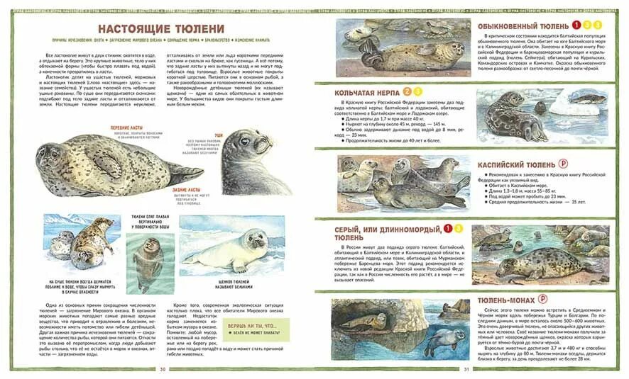 Книга млекопитающие россии. Исчезающие млекопитающие России. Вымершие животные Российской Федерации. Исчезающие животные России книга Лагутенко. Атлас исчезнувших животных.