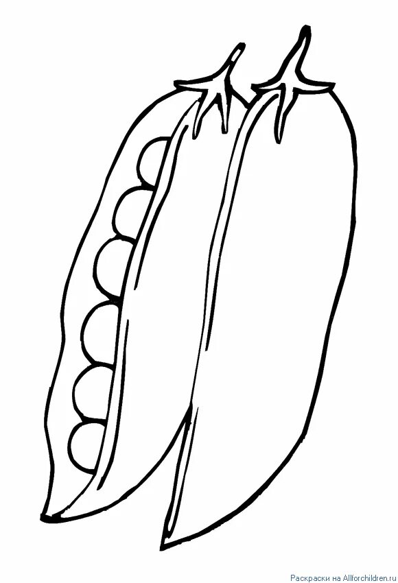 Горох раскраска. Горошек раскраска. Горох раскраска для детей. Зеленый горошек раскраска. Горох карандашом