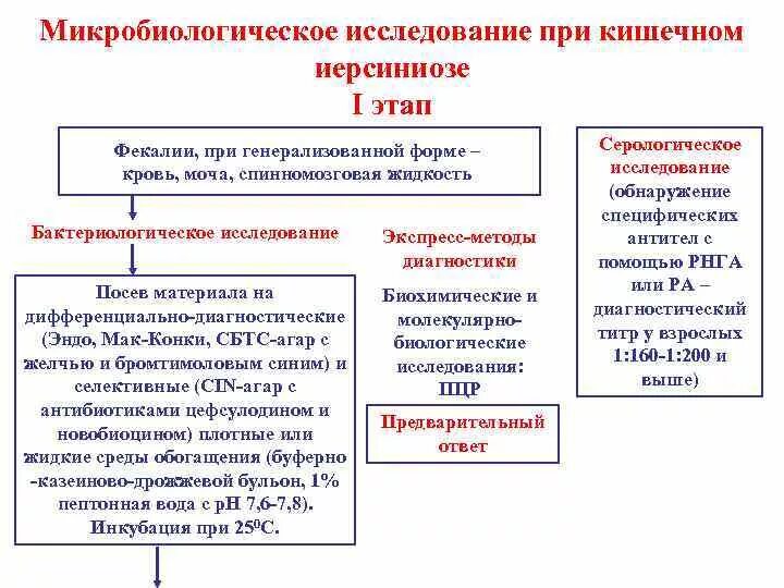 Схемы микробиологического исследования Протей. Серологическое исследование при иерсиниозе. Микробиологическая диагностика кишечный иерсиниоз. Схема бактериологического исследования псевдотуберкулеза. Этапы лабораторного метода