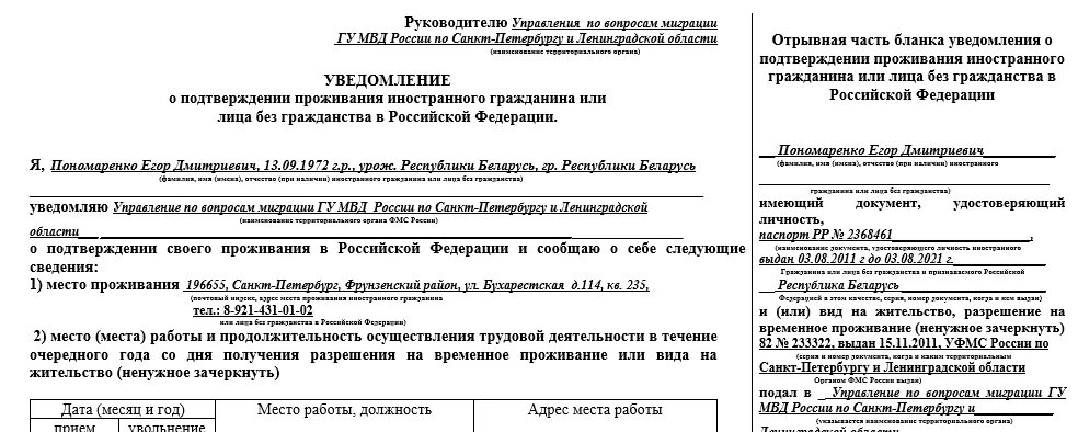 Уведомление по рвп бланк. Уведомление о проживании по рвп 2025. образец заполнения уведомления внж.