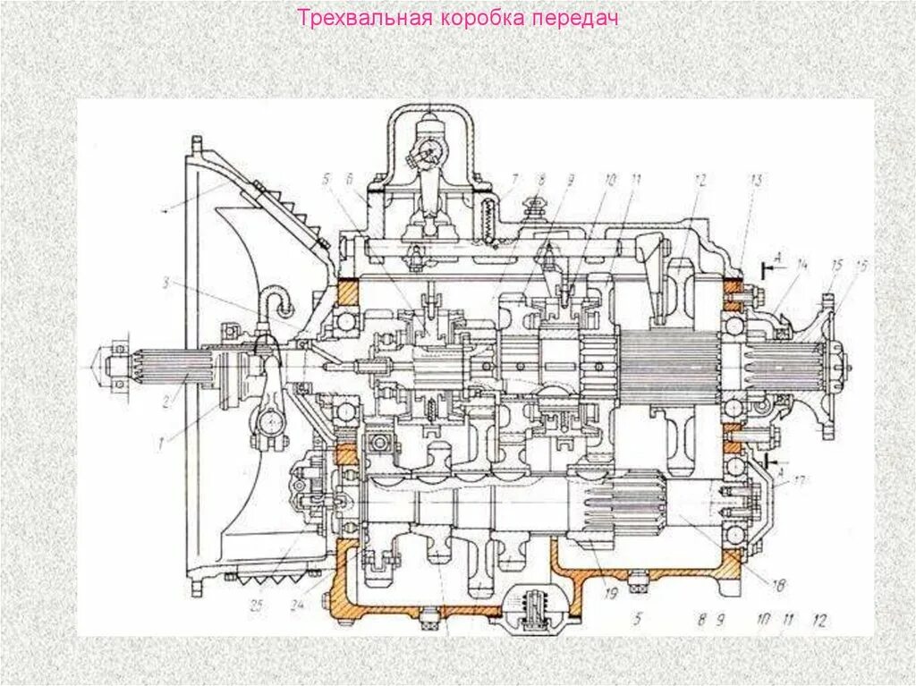 Схема трехвальной пятиступенчатой коробки передач. Устройство трехвальной коробки передач. Устройство трехвальной механической коробки передач. Схема трансмиссии коробки передач.