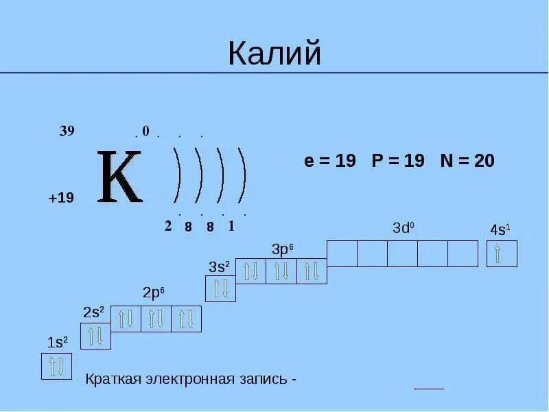 Калий сколько атомов. Строение электронных оболочек атомов калия. Калий строение электронной оболочки. Электронная схема атома калия. Схема строения атома калия.