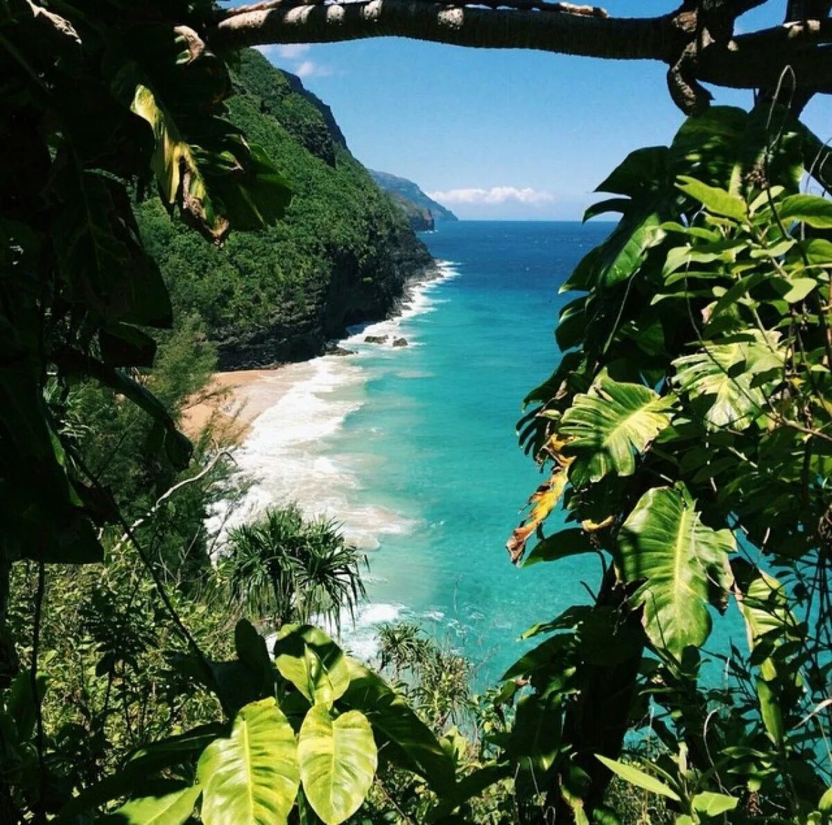 Тропическая Лагуна Майкоп. Тропические леса на Гавайях. Сент-Китс джунгли. Тропический пейзаж.