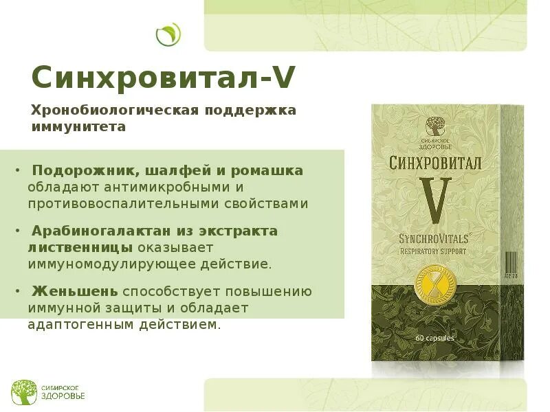 Синхровитал отзывы врачей. Синхровитал 2 и 3. Синхровитал 4. Синхровитал Сибирское здоровье. Синхровитал 2 Сибирское здоровье.