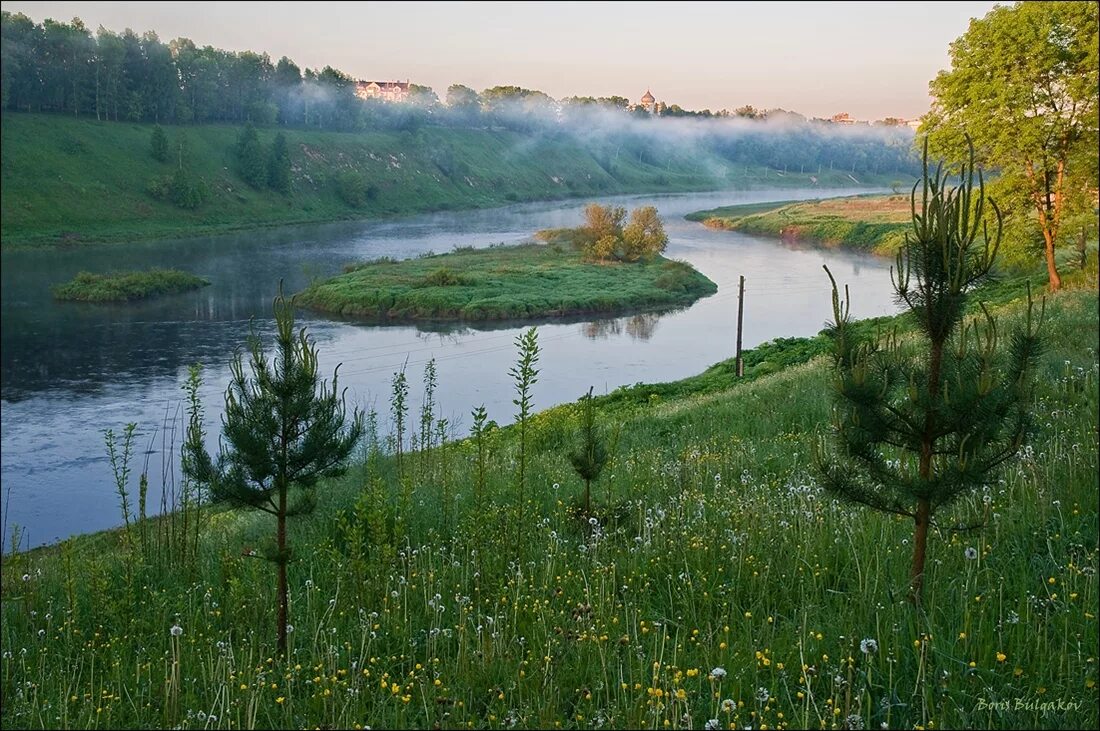 Реки Чувашии. Чувашия Волга. Чувашская Республика природа. Река Волга Поволжье.