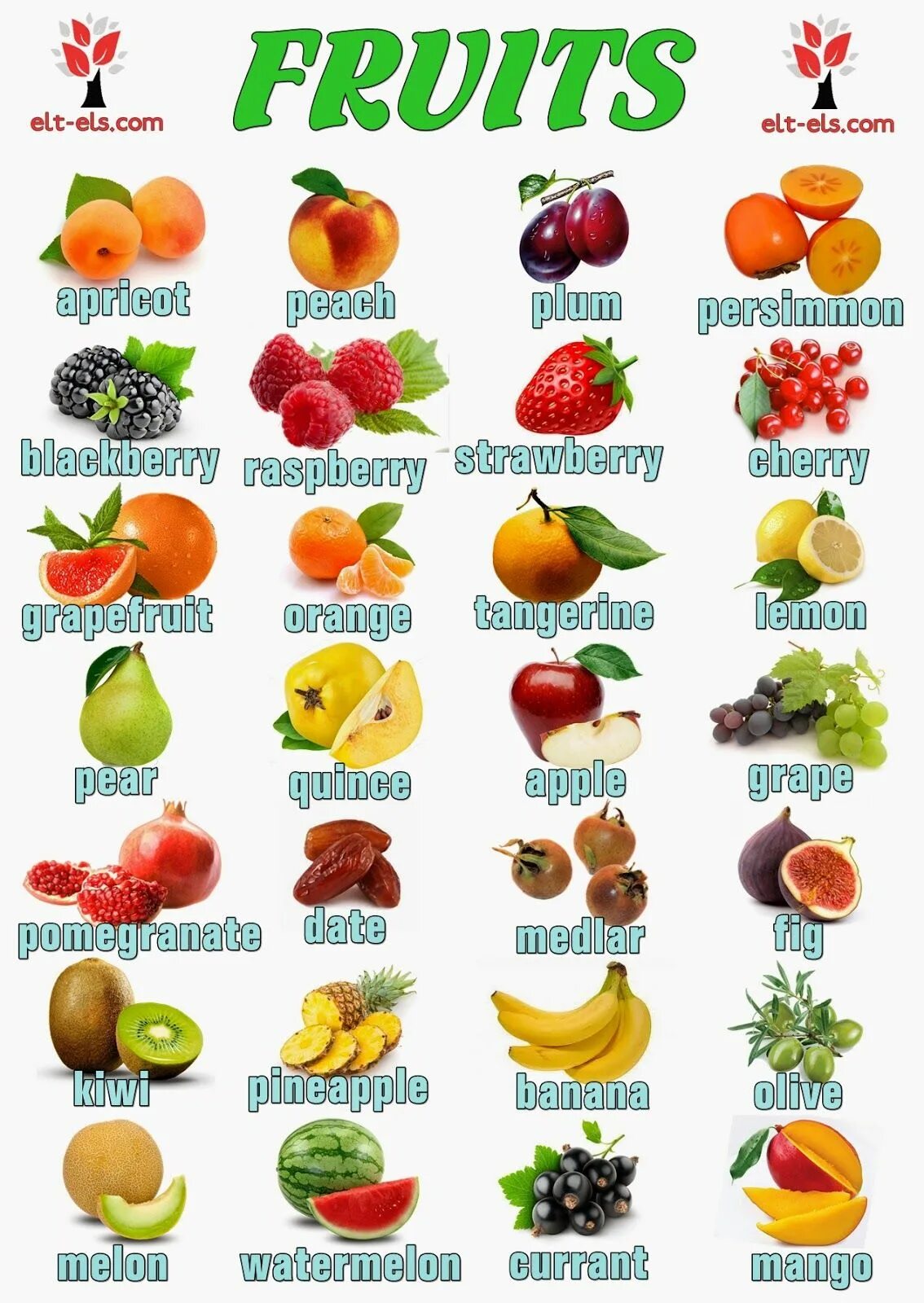 Название фруктов на английском. Название всех фруктов. Названия фруктов и ягод на английском. Фруктовый на английском. Фрукты на англ для детей.