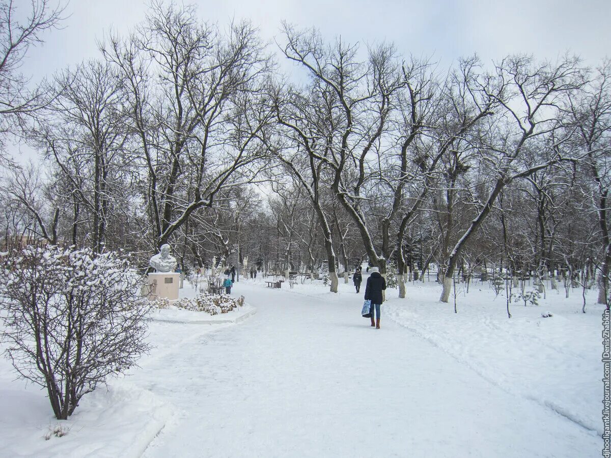 Зимний Аткарск. Аткарск зимой. Зимний парк Аткарск. Фотография зимы в городе Аткарск.