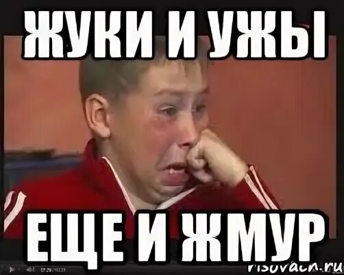 Ща со