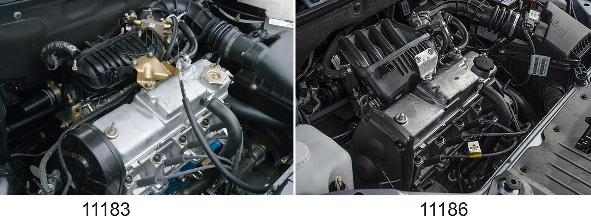 Мотор ВАЗ 11183, 1.6.. 11183 Двигатель 1.6 8 клапанов. 8 клапанов и 16 разница
