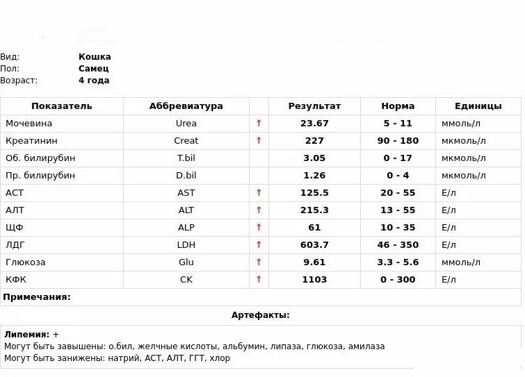 Что такое аст в крови у мужчин. Алт и АСТ показатели нормы таблица. Показатели алт и АСТ И билирубин норма у женщин. Alt в анализе крови норма для женщин. Норма анализа крови алт АСТ билирубина таблица.