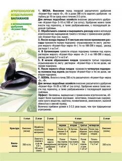 Чем подкормить баклажаны после высадки в открытый