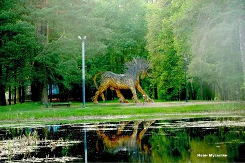 Выкса фото парка
