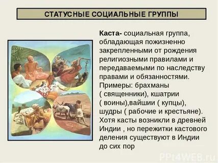 Социальная группа обладающая правами и обязанностями