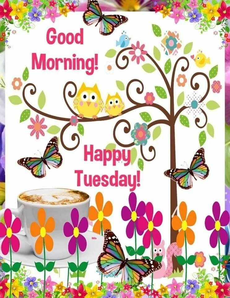Come on tuesday. Good morning вторник. открытки happy tuesday. happy tuesday morning. good morning happy tuesday.