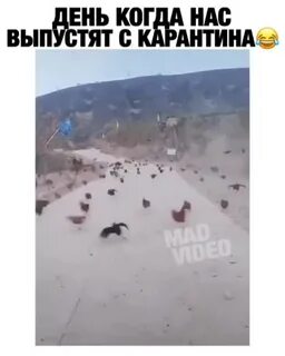 Выйдем после карантина