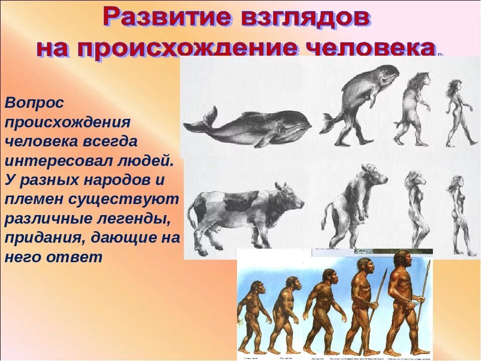 Происхождение человека. Эволюция человека. Развитие человека. Появление человека. Эволюция видна