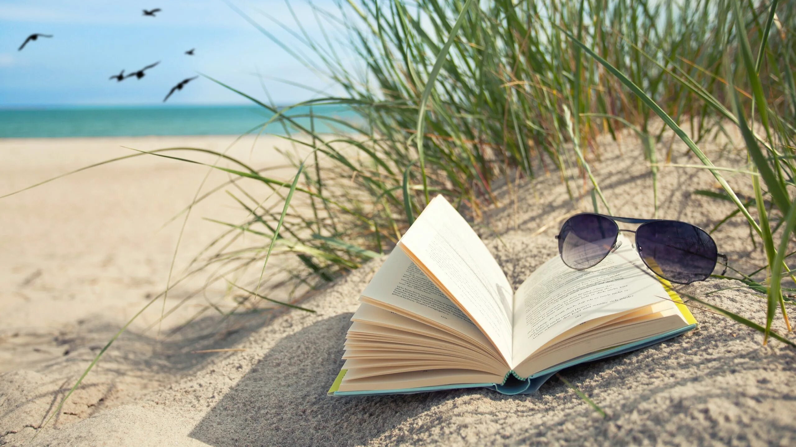 My summer book. Лето с книгой. Книга на песке. Лето книга фон. Картинки чтение на пляже.