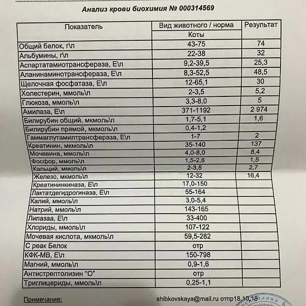 Кфк у собак повышена. Биохимия крови показатели кфк. кфк в биохимическом анализе крови норма. кфк общий норма биохимия крови. кфк-мв норма в биохимии крови.
