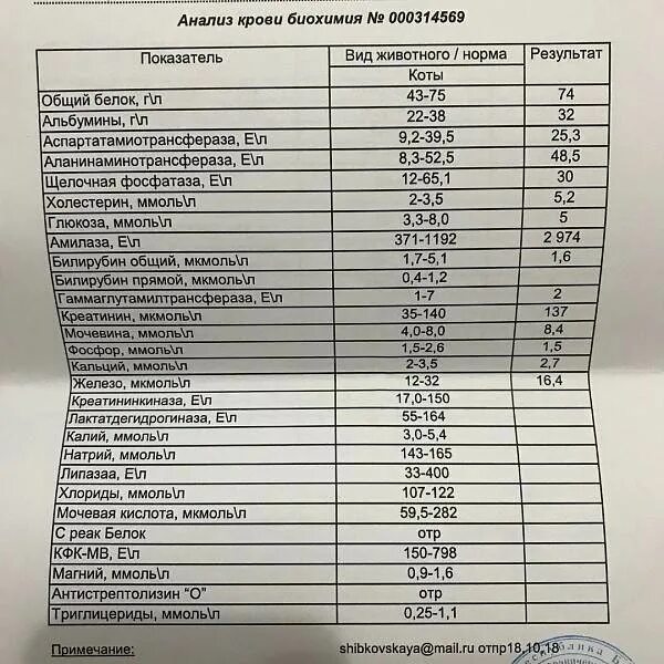 Общий белок повышен у кошки. Биохимия крови показатели КФК. КФК В биохимическом анализе крови норма. КФК общий норма биохимия крови. КФК-МВ норма в биохимии крови.