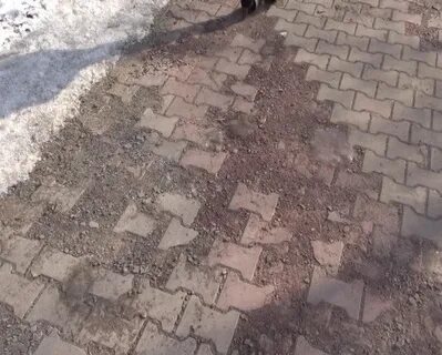 Скол тротуарной плитки