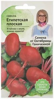 Свекла египетская отзывы