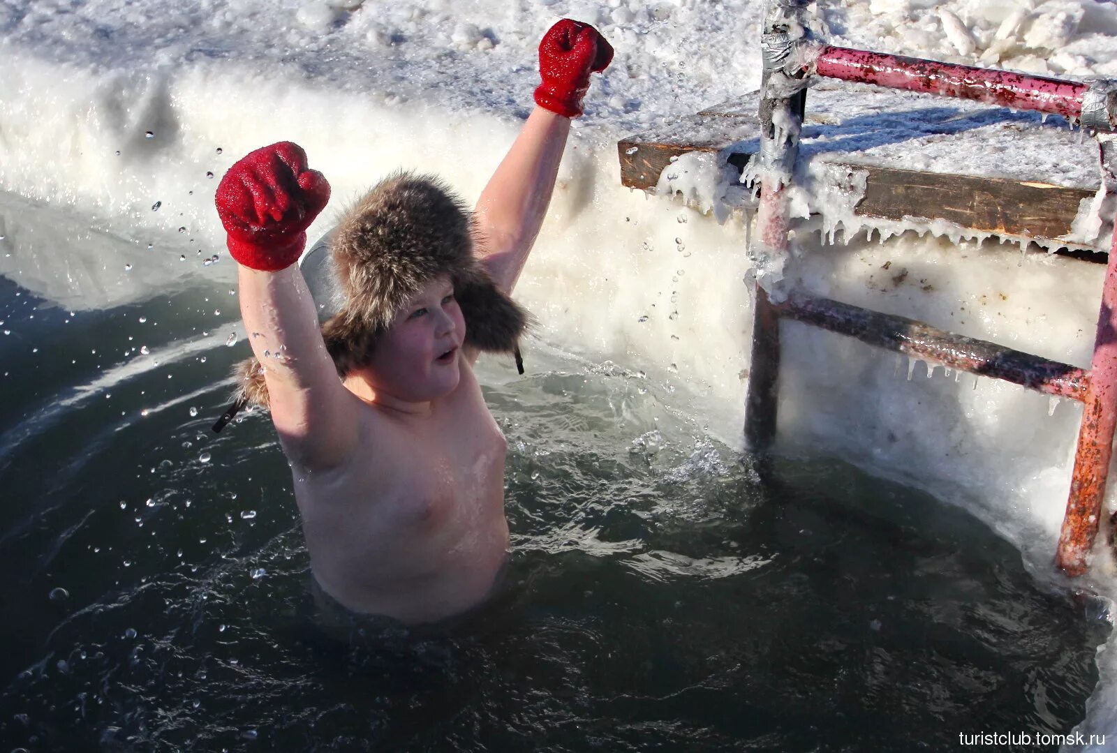 купание зимой. моржи купаются в проруби. купание зимой. купание моржей. зимнее купание.
