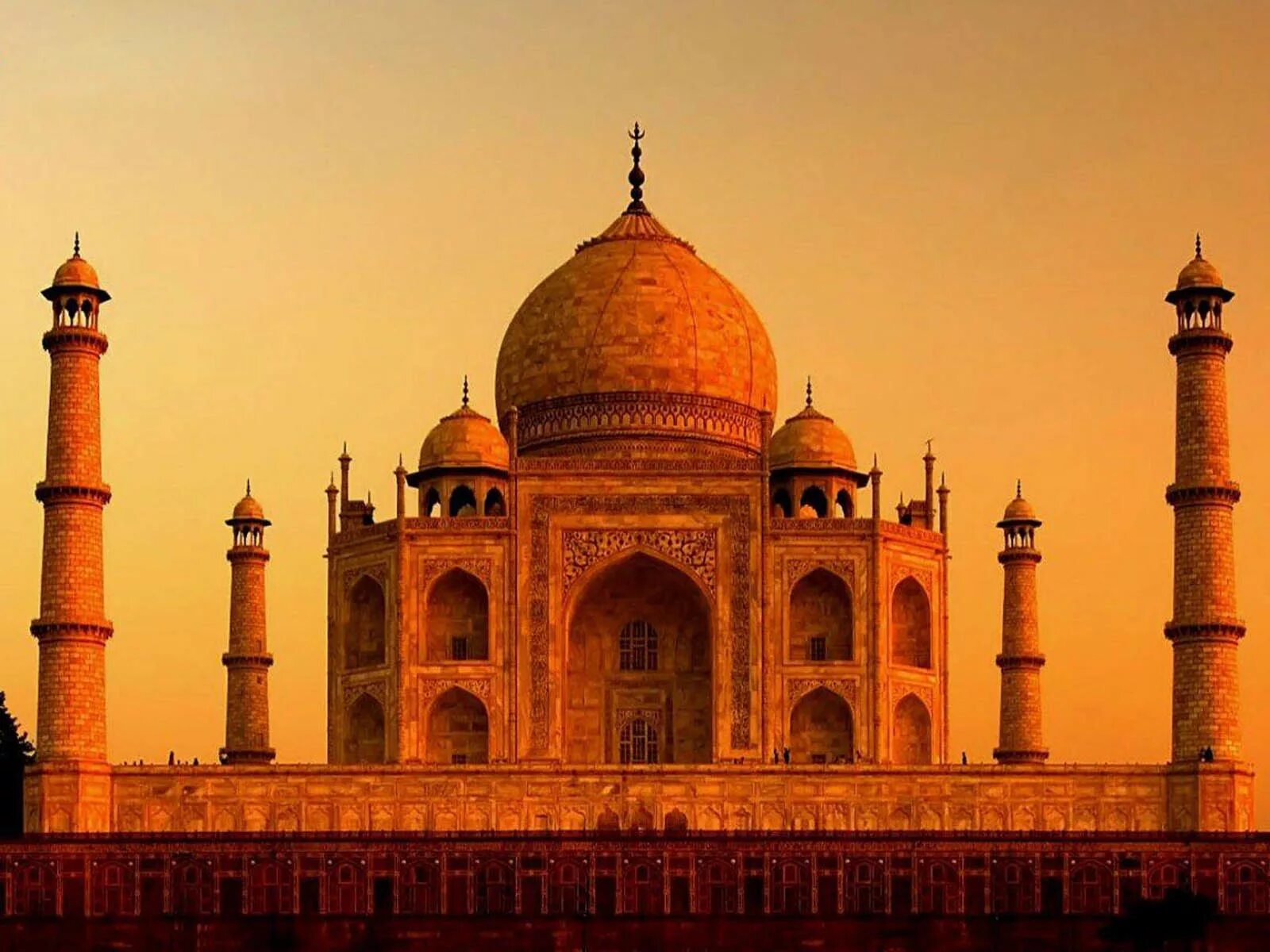 India official