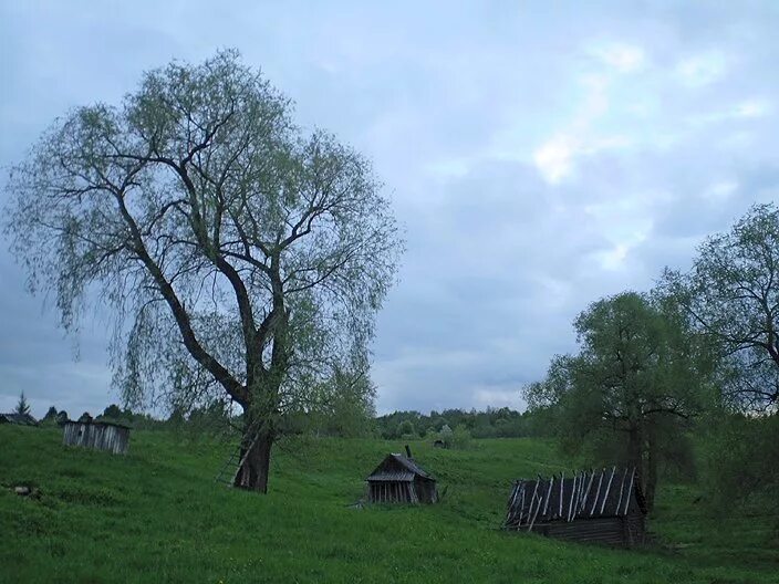 Деревня россия новгородской области. Веретье Псковская область. Остров деревня Веретье. Урочище Веретье. Деревня остров Новгородская область Волотовский район.