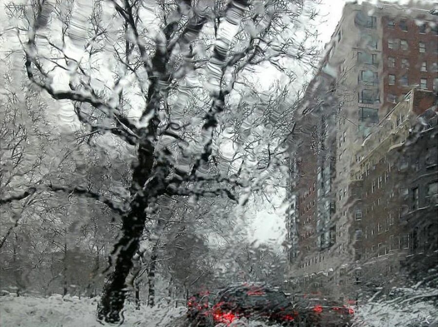 С дождливым зимним днем. Зимний дождь. Снег с дождем. Мокрый снег. Дождливый день зимой.
