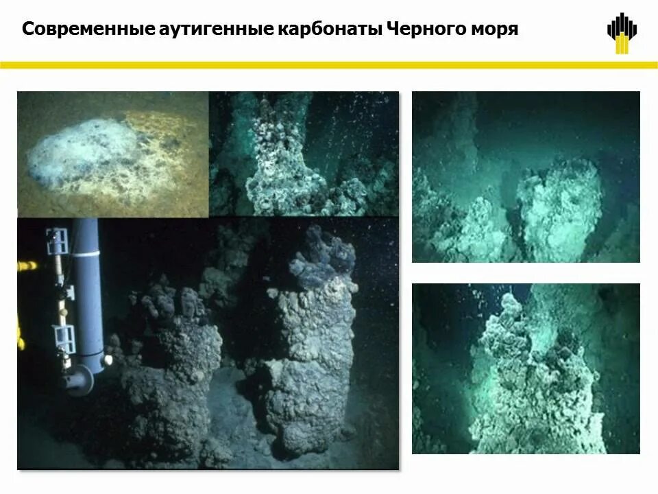 Чёрное море сероводородный слой глубина. Сероводородное заражение черного моря. Черное сероводородное море. Слой сероводорода на дне черного моря. Слои черного моря.