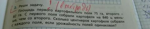 В магазин привезли мандарины