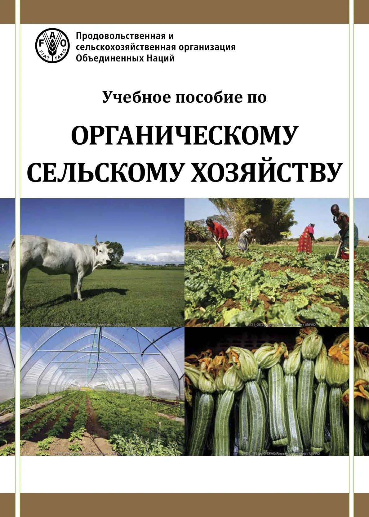Растениеводство учебное пособие. Пособия по сельскому хозяйству. органическое сельское хозяйство. учебное пособие по органическому земледелию. учебник по сельскому хозяйству.