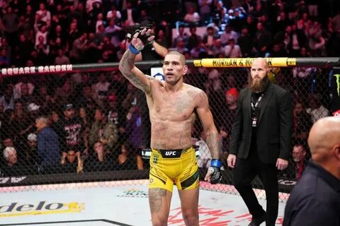 Алекс перейра боец