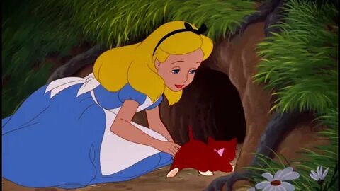 Rabbit hole 18