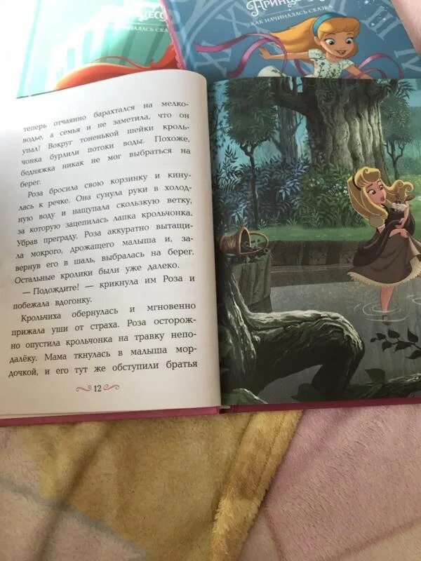 Книги дисней читать. Тесса рол Disney принцесса. Книги Дисней 9 книг. Принцессы Диснея книга Энн Брэйбрукс.