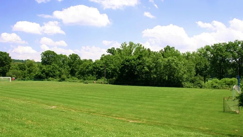 Press grass fields. Field bindwind. Расти Филд фото. Field up view. Related field