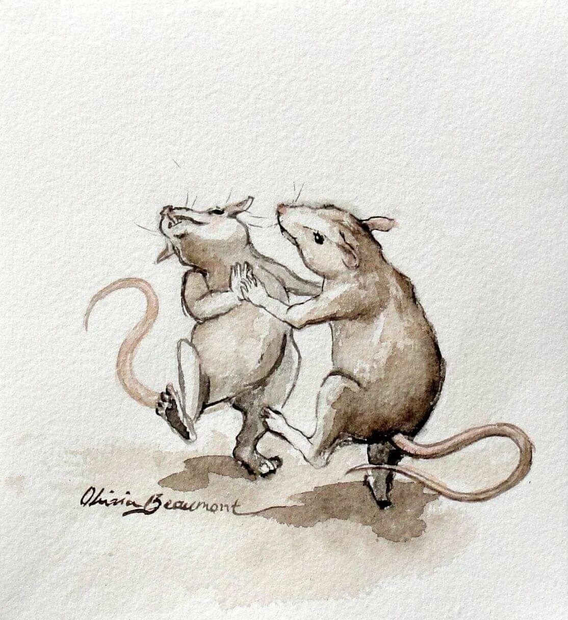 Мыши пара. Крыса рисунок. Рисунок крыски. Танцующие крысы. Мыши танцуют.