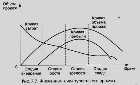 Цикла город